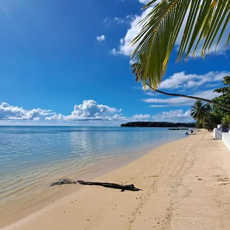 Moorea - Studio Corail